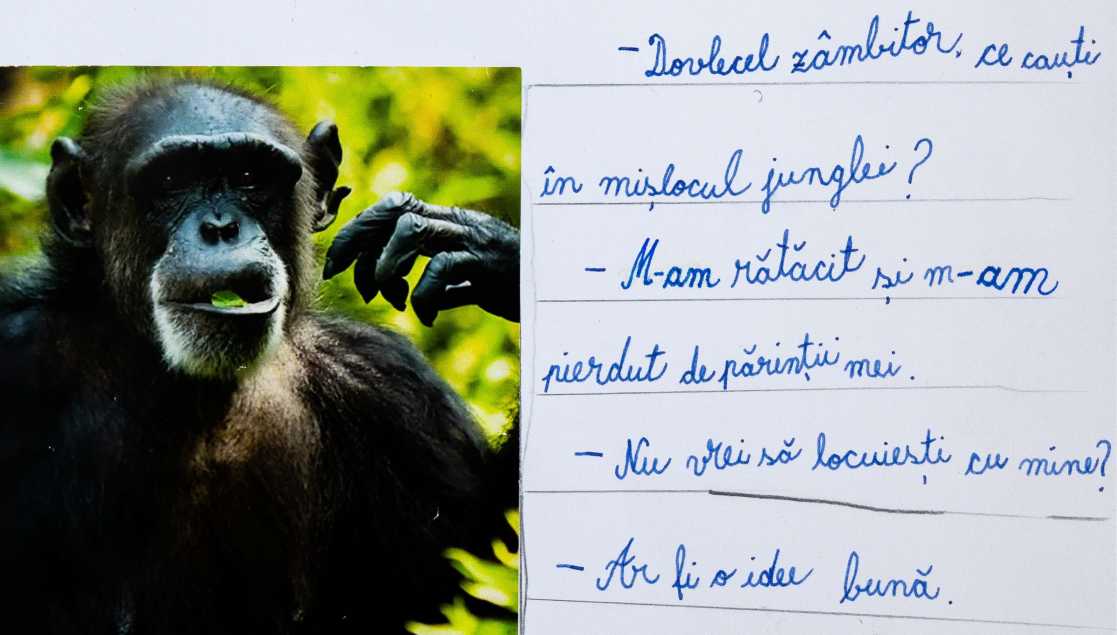 Povestea cimpanzeului Bobiță, a dovlecelului rătăcit și a băiețelului din ultima bancă